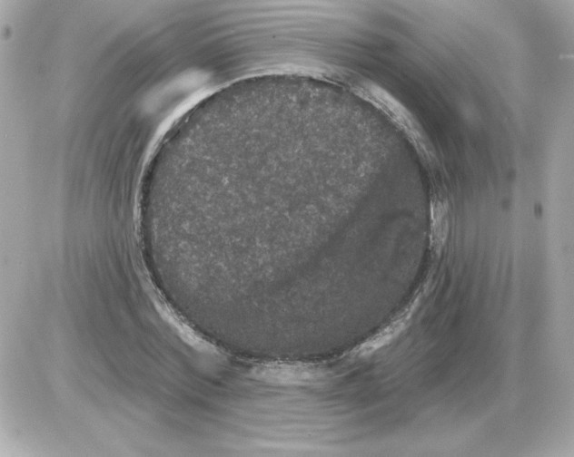 X0000085260780200704092113