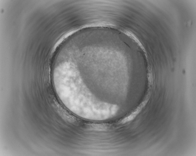 X0000085260781200704092113