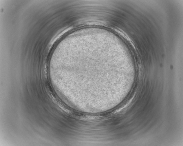 X0000085260782200704092113