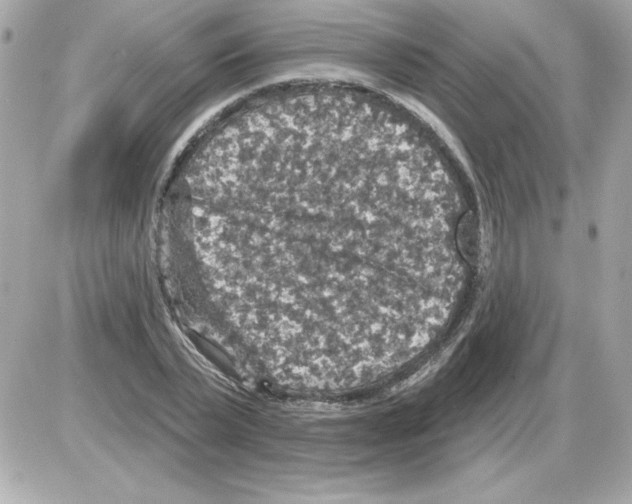 X0000085260783200704092113