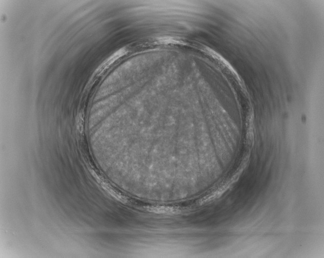 X0000085260785200704092113