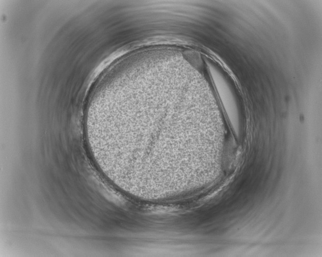 X0000085260786200704092113