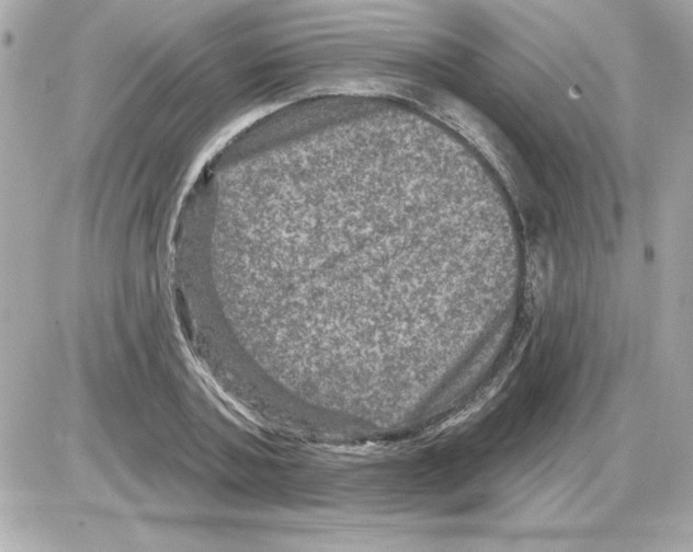 X0000085260787200704092113