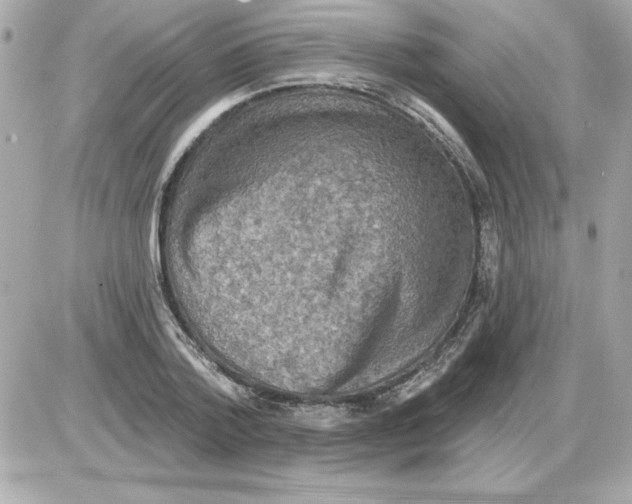 X0000085260788200704092113