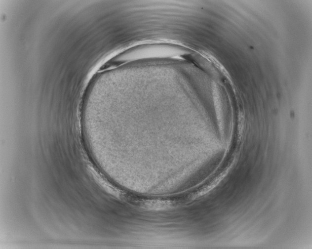 X0000085260789200704092113