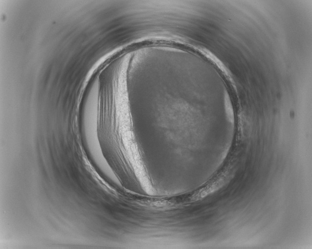 X0000085260791200704092113