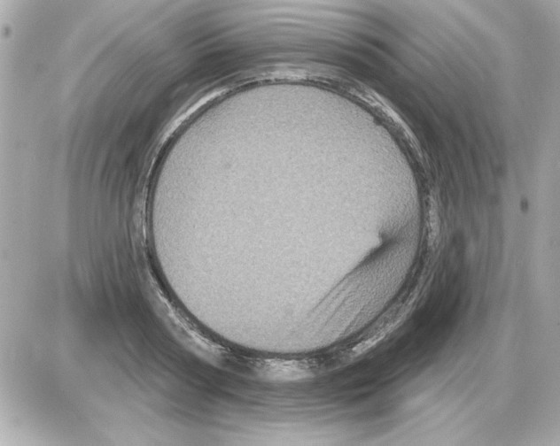 X0000085260794200704092113