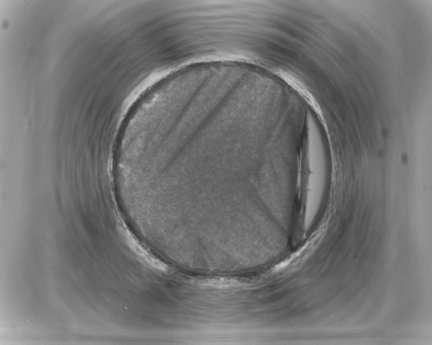 X0000085260797200704092113