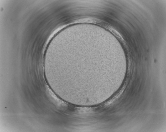 X0000085260800200704092113