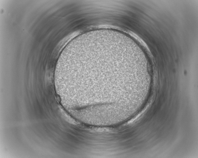 X0000085260801200704092113