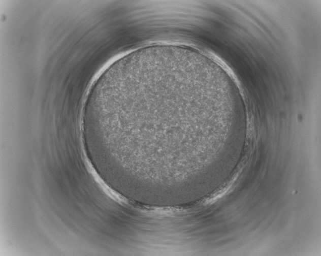 X0000085260803200704092113