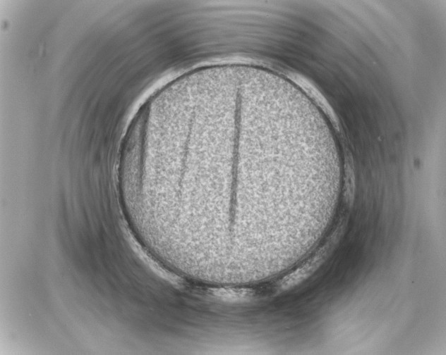 X0000085260805200704092113