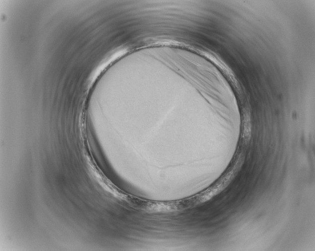 X0000085260806200704092113