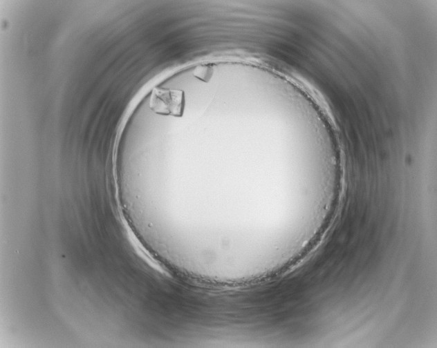 X0000085260808200704092113