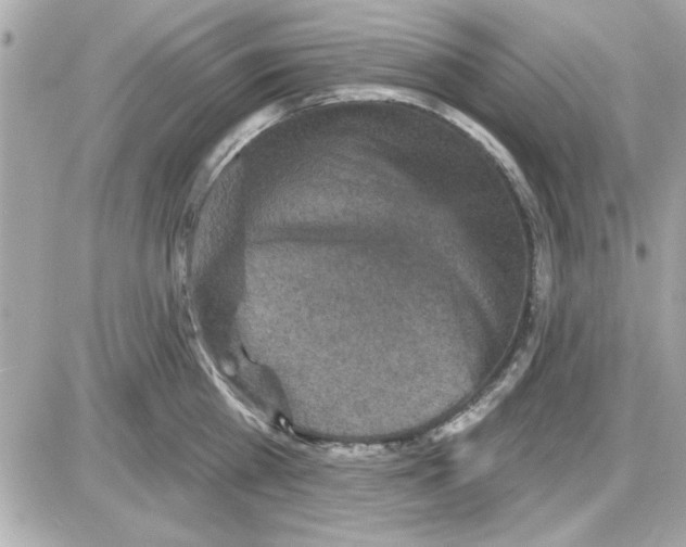 X0000085260809200704092113