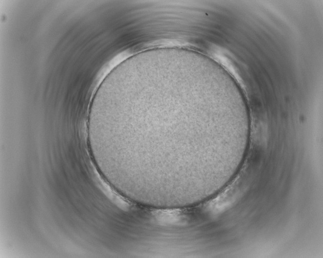 X0000085260810200704092113