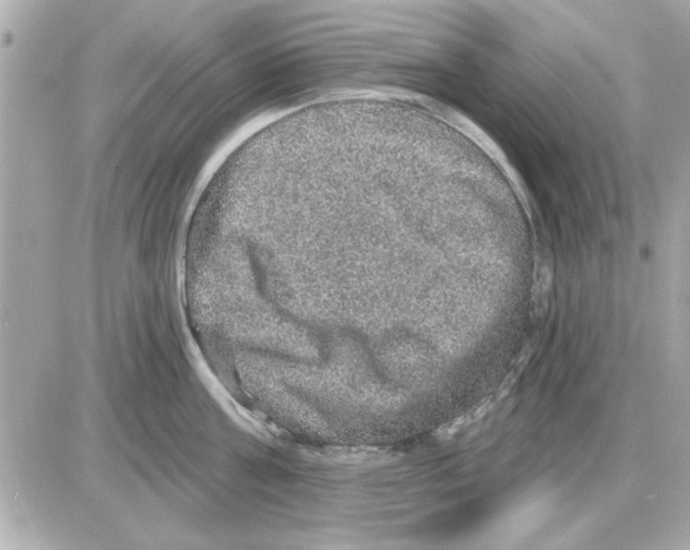 X0000085260811200704092113