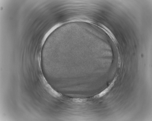 X0000085260812200704092113