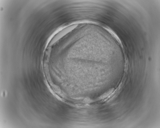 X0000085260813200704092113