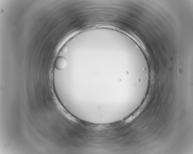 X0000085260814200704092113