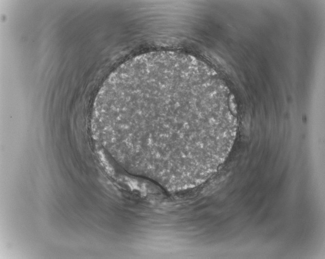 X0000085260817200704092112