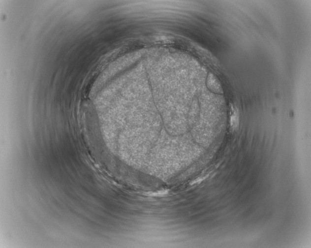 X0000085260819200704092112