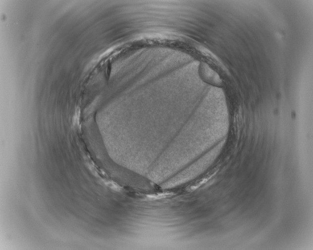 X0000085260822200704092112