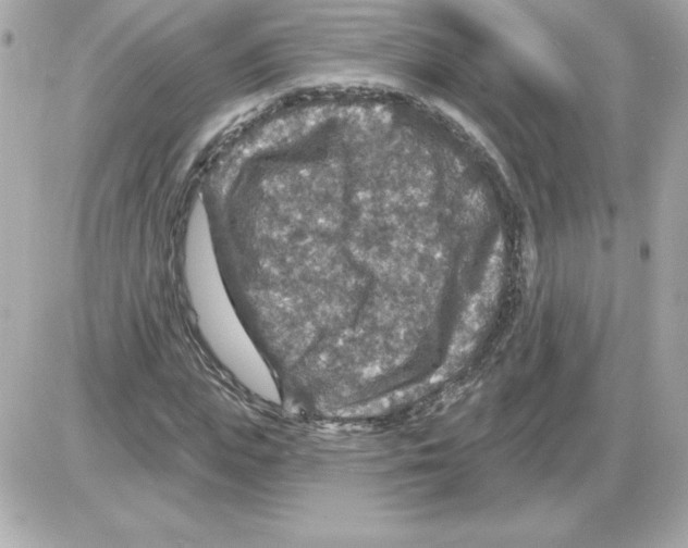 X0000085260823200704092112