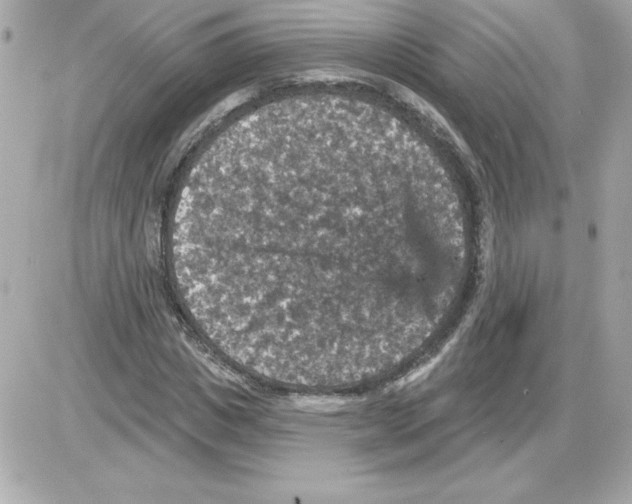 X0000085260825200704092112