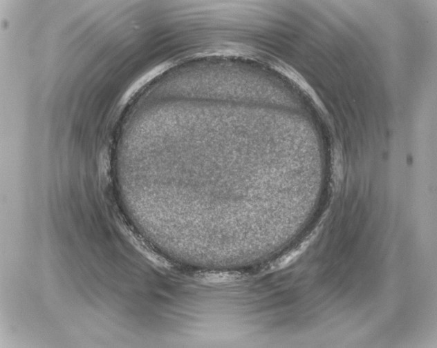 X0000085260826200704092112