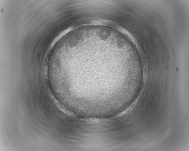 X0000085260827200704092112