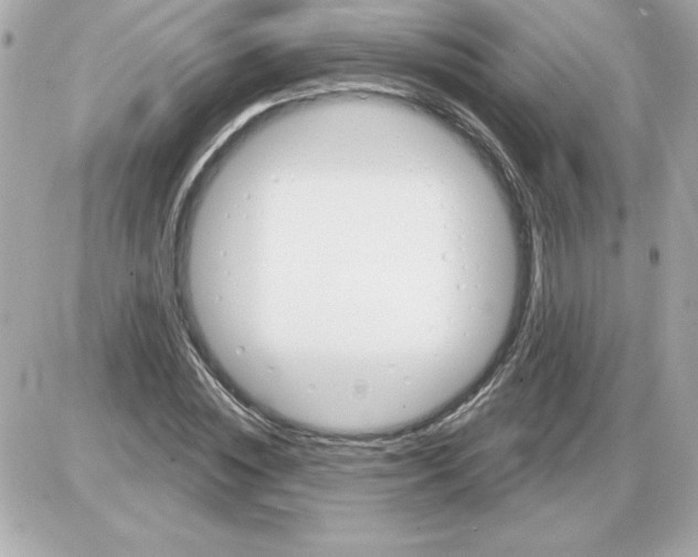 X0000085260828200704092112