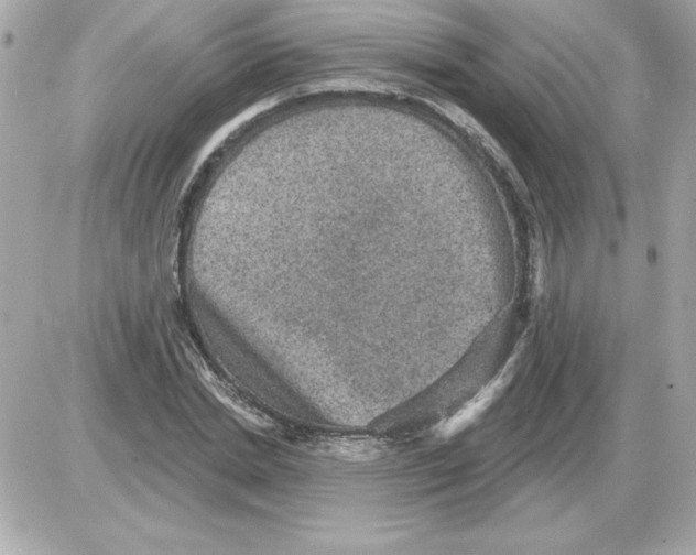 X0000085260830200704092112