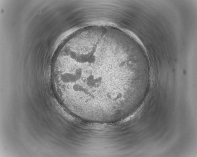 X0000085260831200704092112