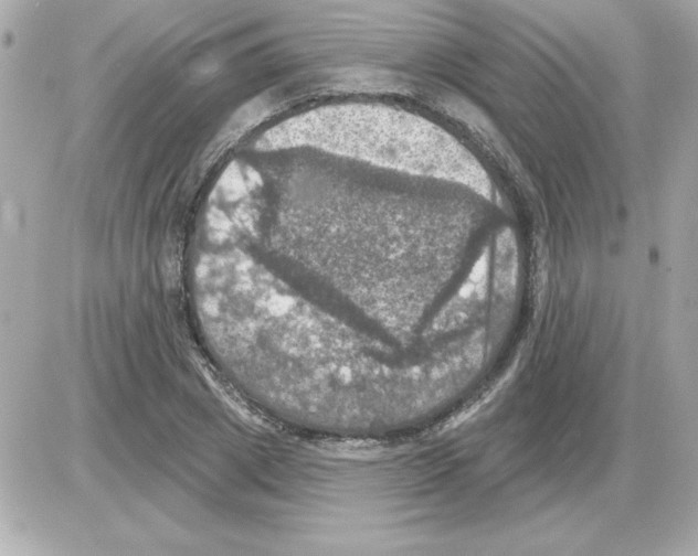 X0000085260833200704092112