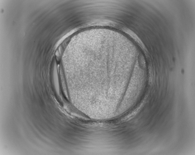 X0000085260834200704092112