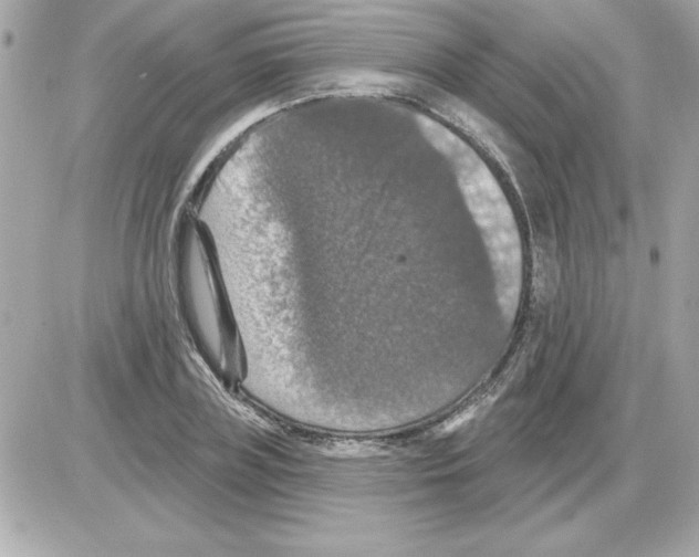 X0000085260835200704092112