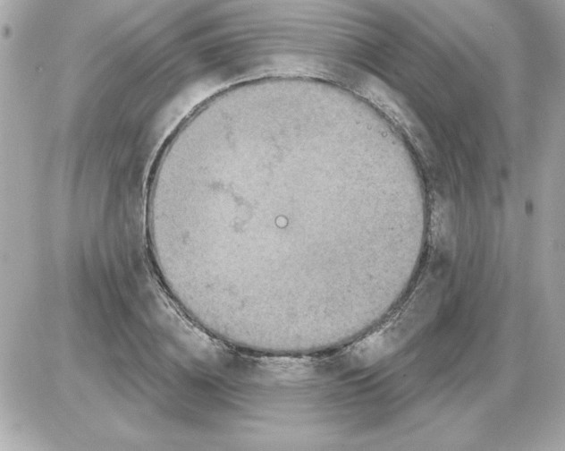 X0000085260836200704092112