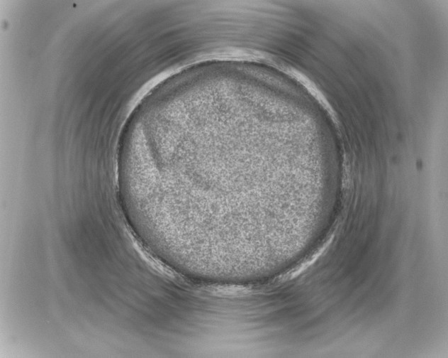 X0000085260837200704092112