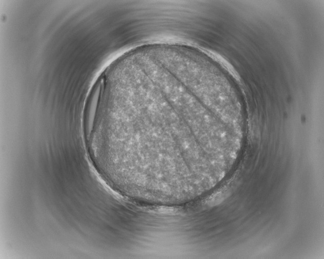 X0000085260839200704092112