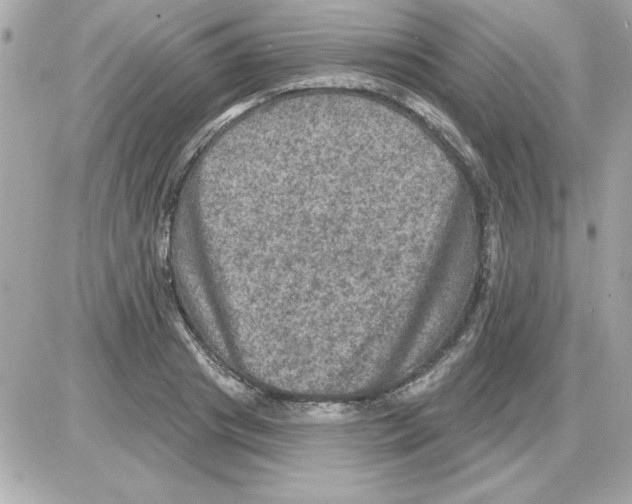 X0000085260841200704092112