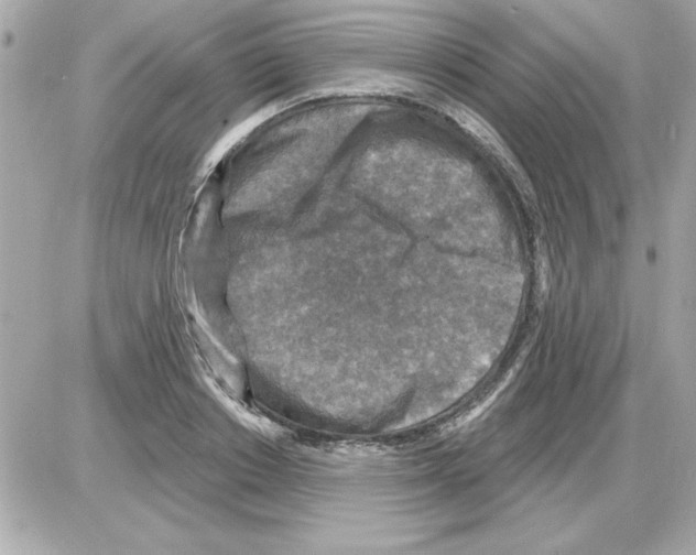 X0000085260842200704092112