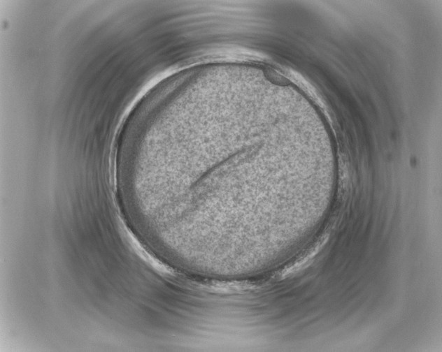 X0000085260843200704092112