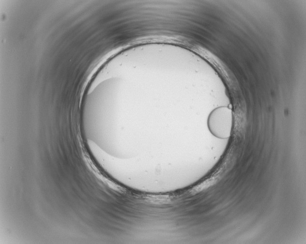 X0000085260844200704092112