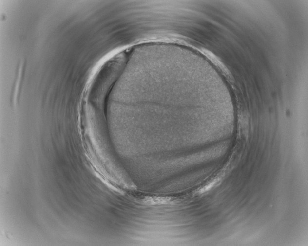 X0000085260846200704092112