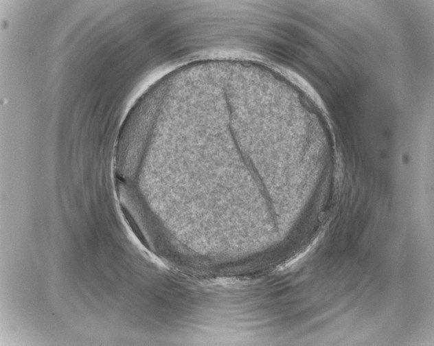 X0000085260847200704092112