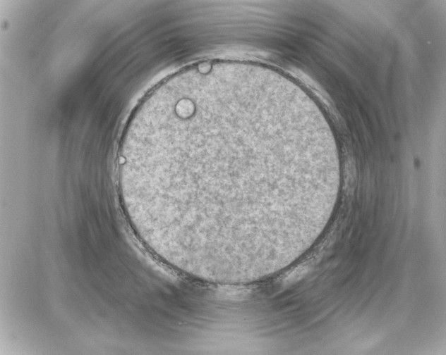 X0000085260848200704092112