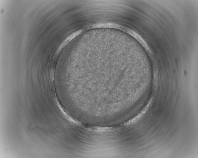 X0000085260849200704092112