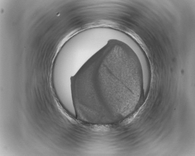 X0000085260850200704092112