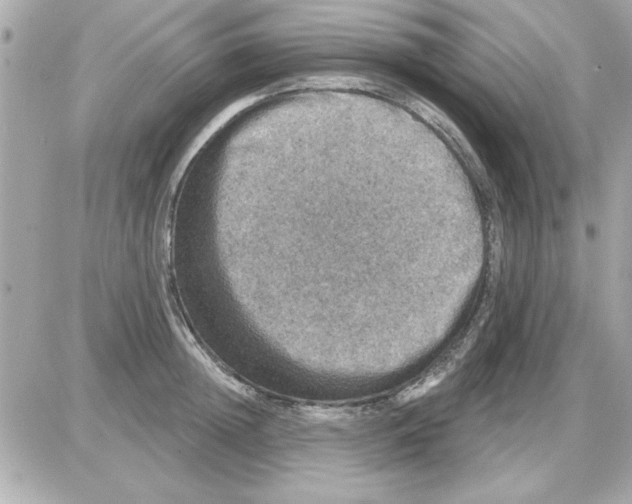 X0000085260852200704092112